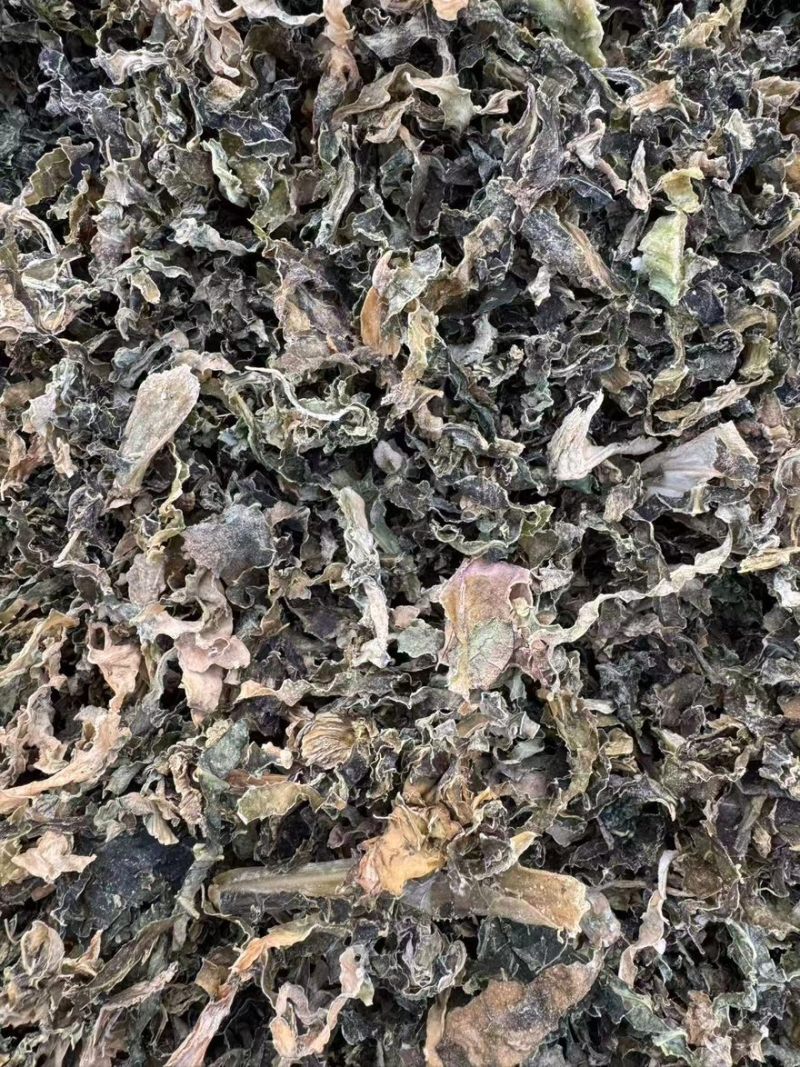 精品梅干菜支持全国发一手货源全国发货量大价优