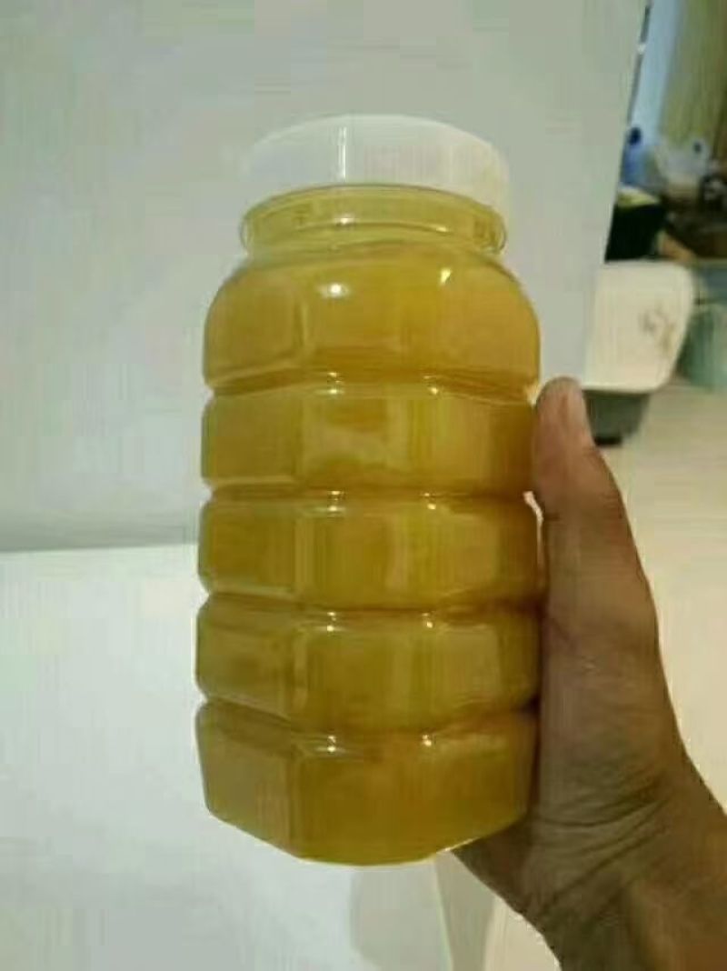 野生土蜂蜜/百花蜜纯度高可视频看货