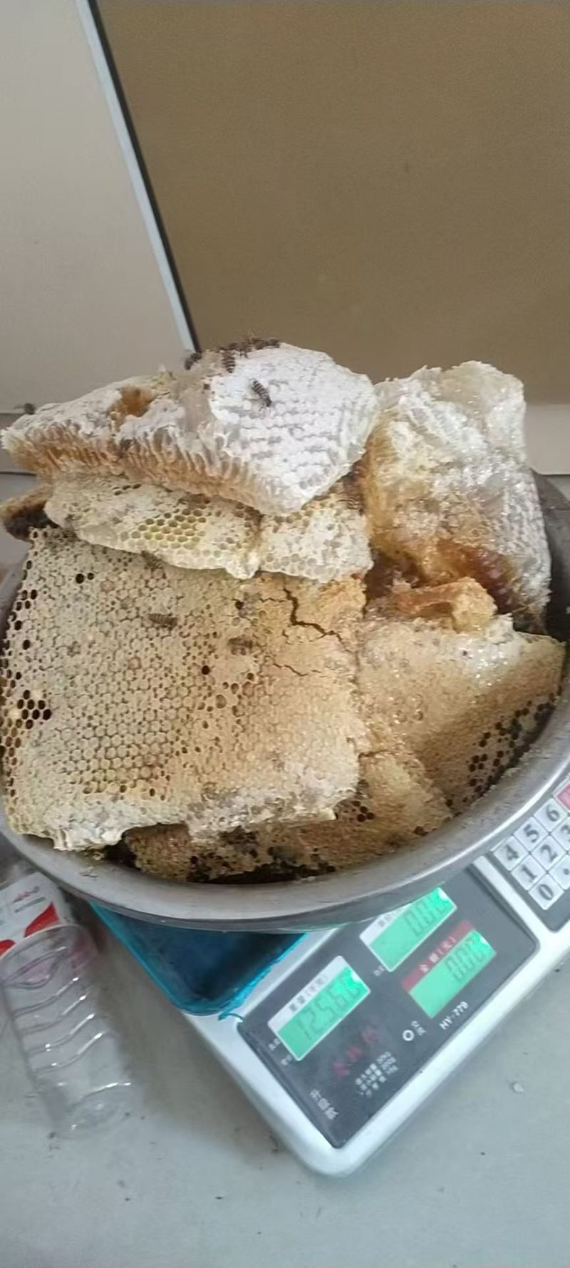 野生土蜂蜜/百花蜜纯度高可视频看货