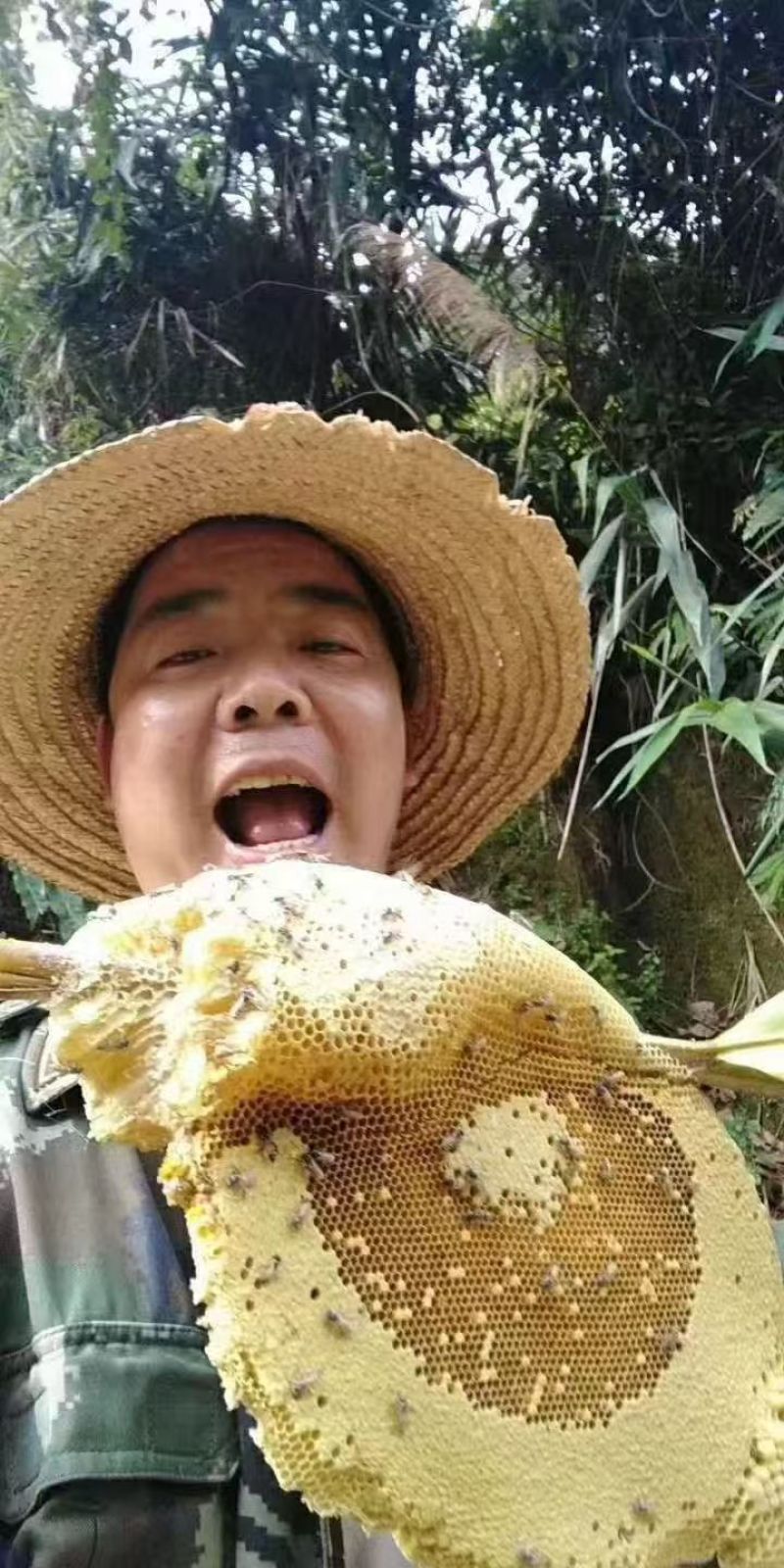 野生土蜂蜜/百花蜜纯度高可视频看货