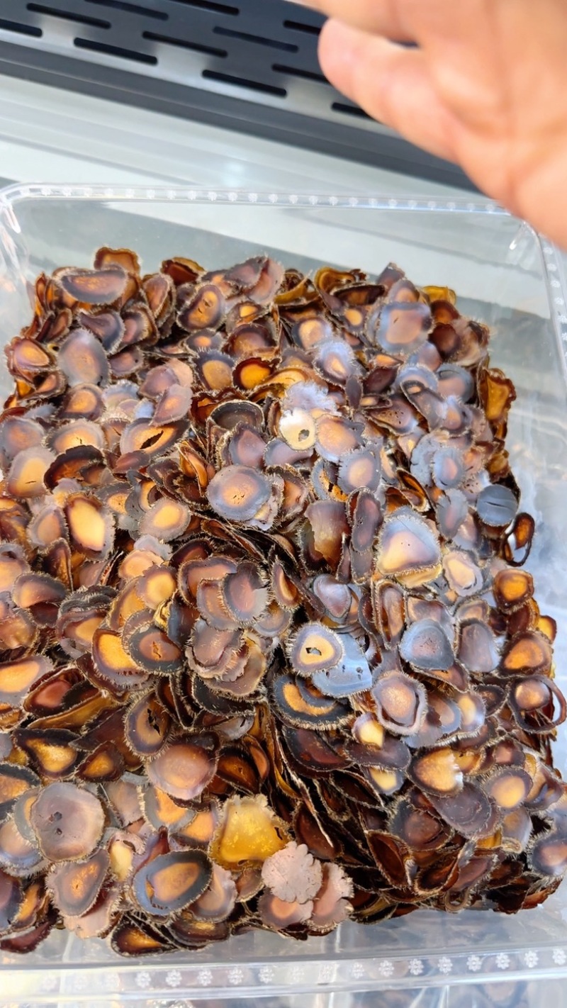 全腊片微残片含血腊片吉林鹿乡产地直发足干片