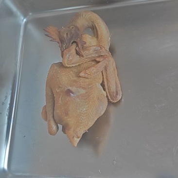 【熟食鸡】纯中药卤制五香老母鸡（淘汰蛋鸡）