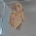 【熟食鸡】纯中药卤制五香老母鸡（淘汰蛋鸡）