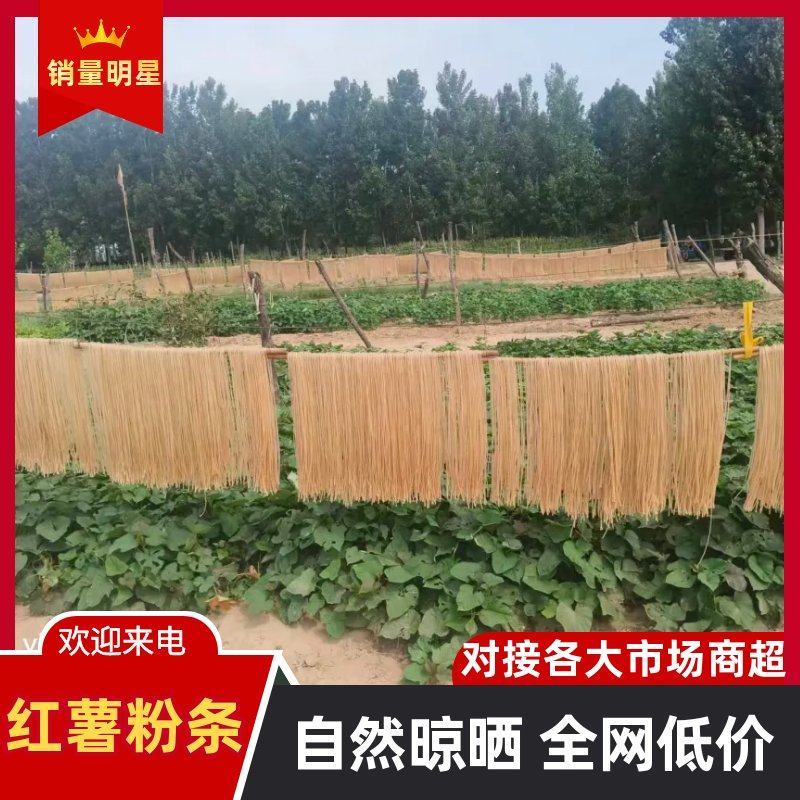 山东纯红薯粉条规格齐全厂家一手货源视频看货支持定做