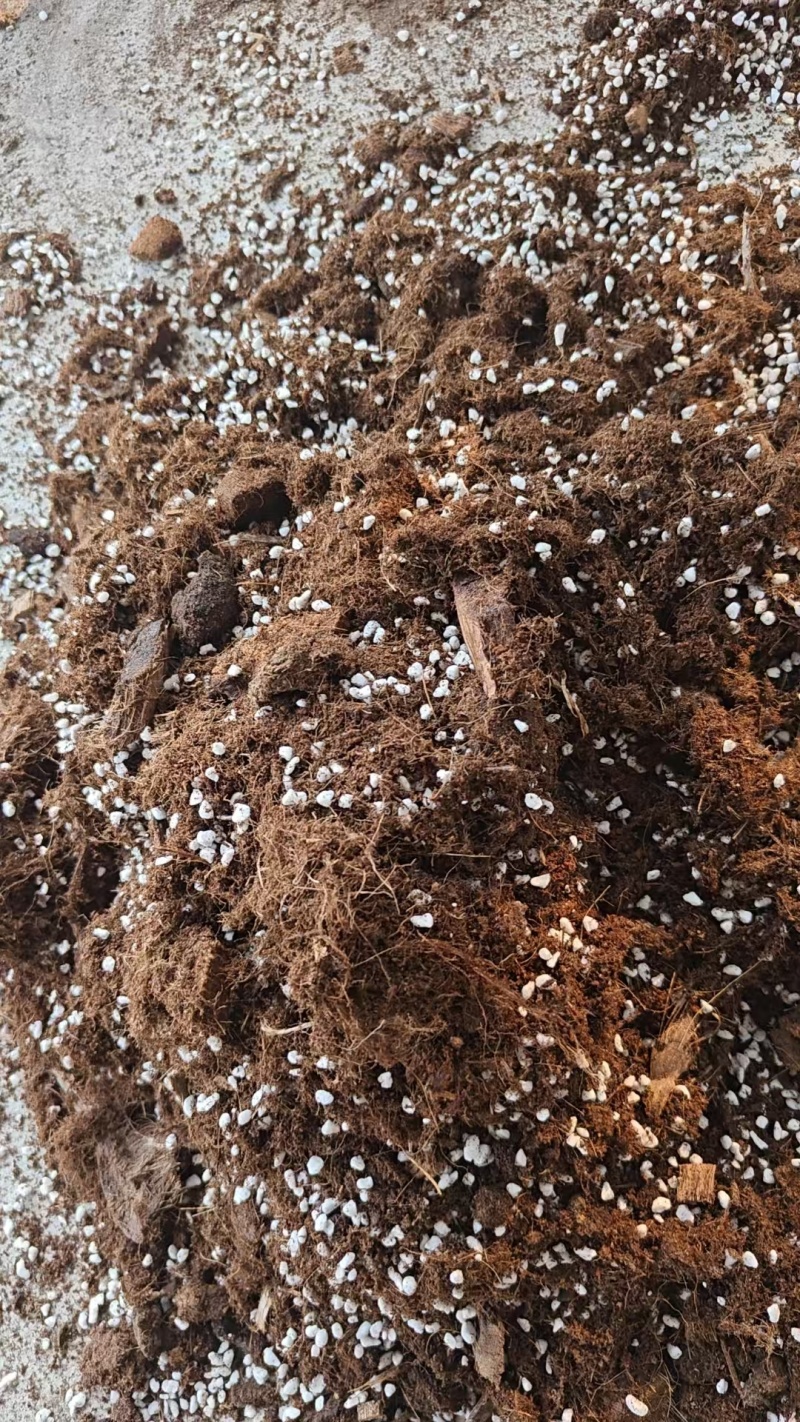 种蓝莓专用基质土营养土蓝莓树盆栽专用通用土壤蓝莓有机土土