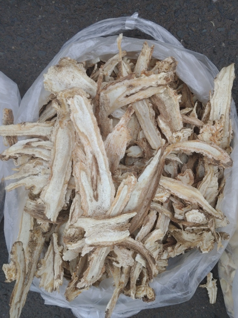 甘肃独活头片精品独活独活尾片独活股子片