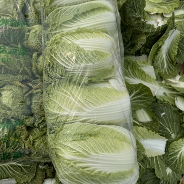 湖北荆门沙洋本地直销黄心大白菜规格234，7.8走车