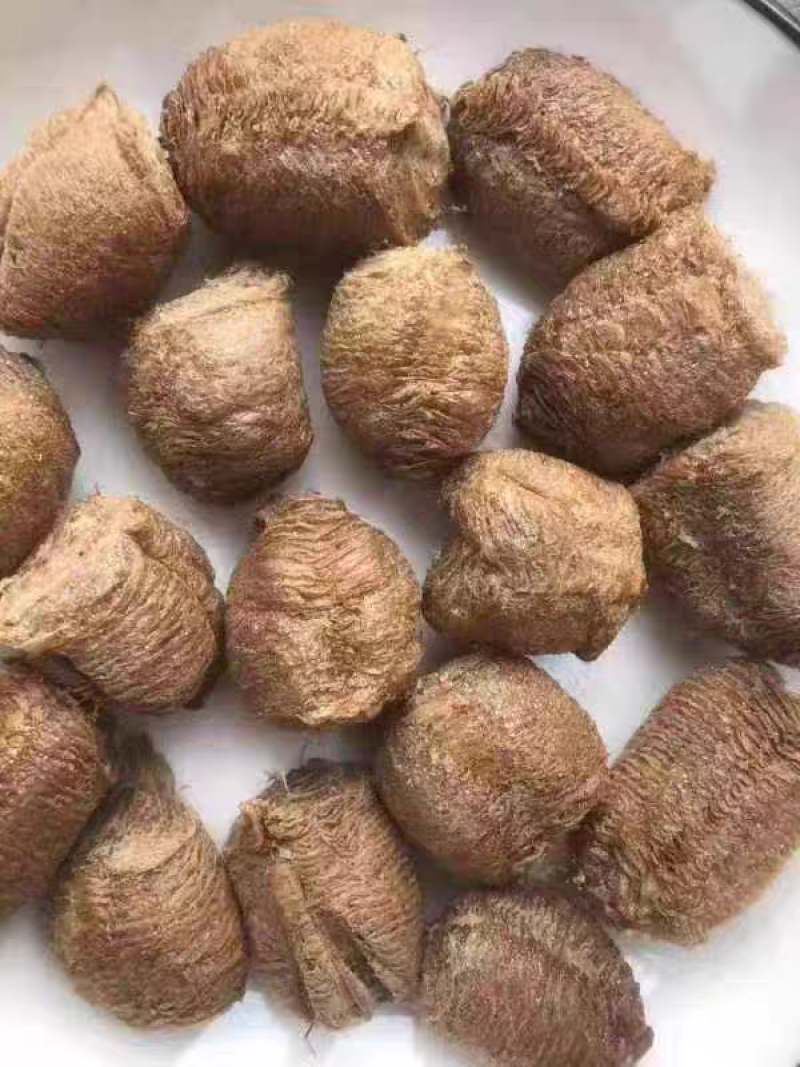 桑螵蛸中药材正品干桑螵蛸螳螂子刀螂螳螂茧熟桑螵蛸泡水喝泡