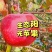 【包邮10斤装】山西生态不套袋红富士苹果产地直发