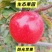 山西红富士苹果大量有货支持零售批发规格齐全，量大从优
