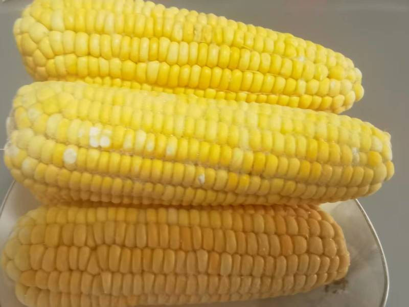 黄金拉丝玉米棒东北玉米棒冷藏保鲜价格实惠欢迎联系