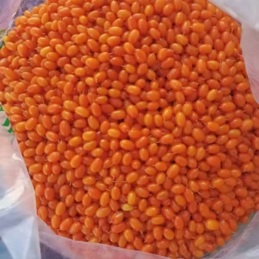 沙棘果
