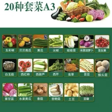 寿光蔬菜套餐礼包精品蔬菜定制对接全国品质好