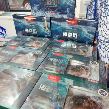 海参斑礼盒装原产地全国接单承接酒店餐饮