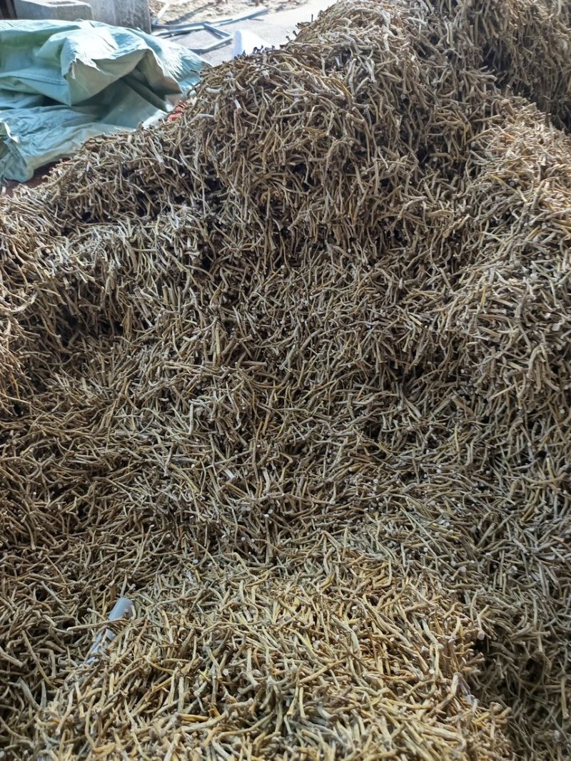 水草烤条