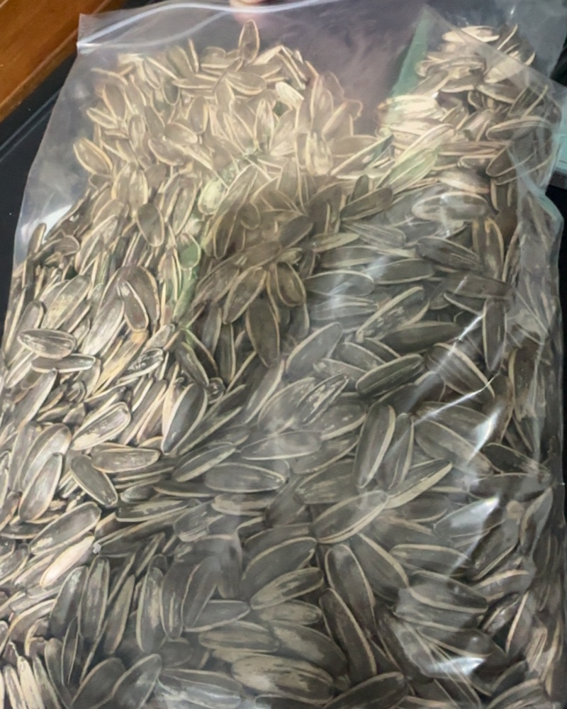 内蒙现炒熟瓜子
