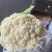 云南精品青梗松花