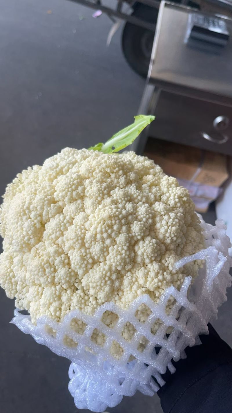 云南精品青梗松花