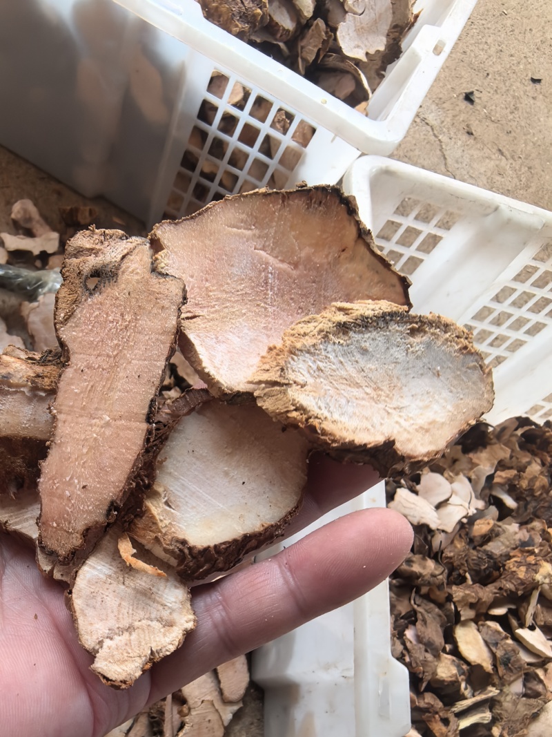 精选土茯苓片