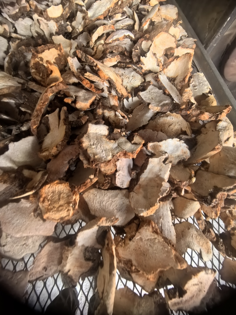精选土茯苓片