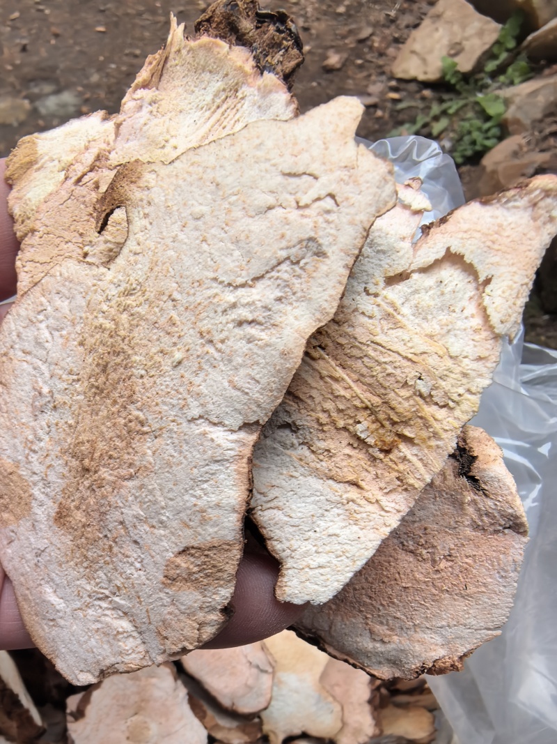 精选土茯苓片