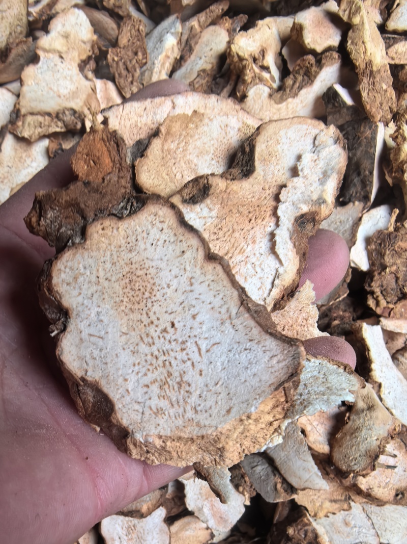 精选土茯苓片