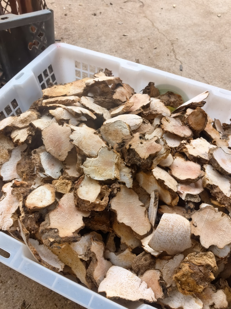 精选土茯苓片