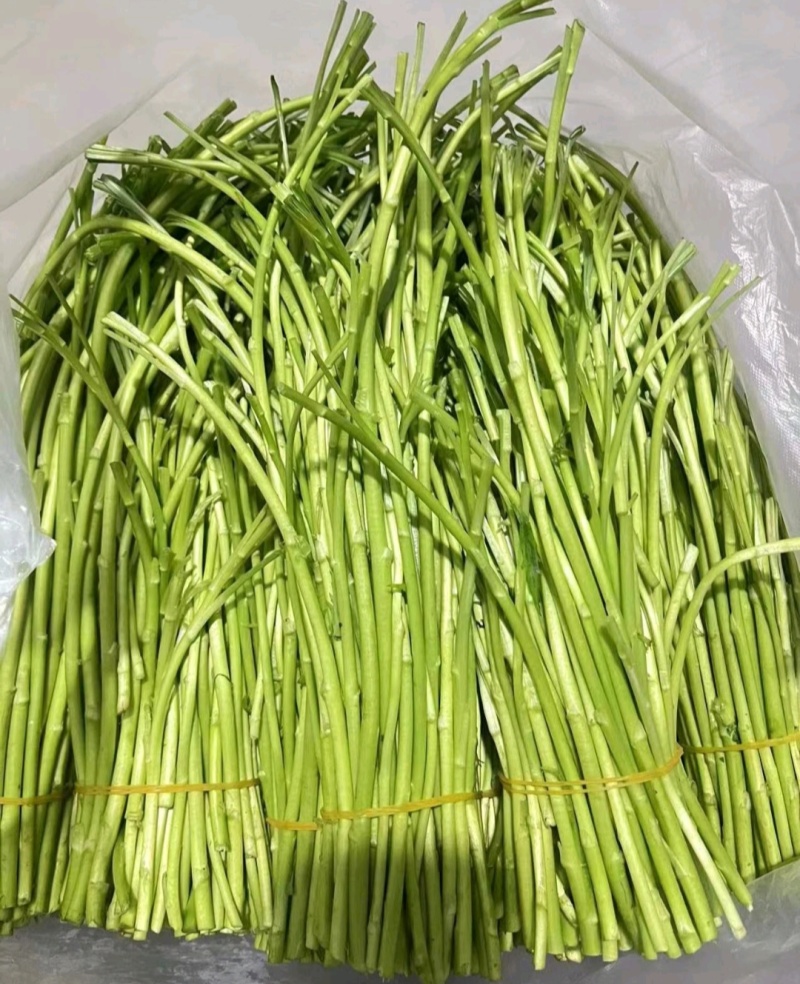 精品芦蒿，大量上市，支持视频看货，量大价优