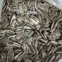 **电商原味瓜子**赶集瓜子内蒙现炒原味瓜子