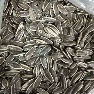 **电商原味瓜子**赶集瓜子内蒙现炒原味瓜子