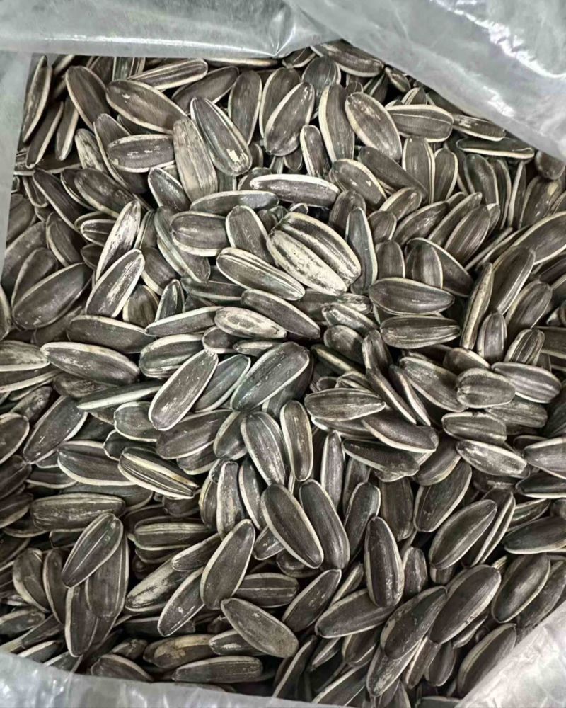 **电商原味瓜子**赶集瓜子内蒙现炒原味瓜子