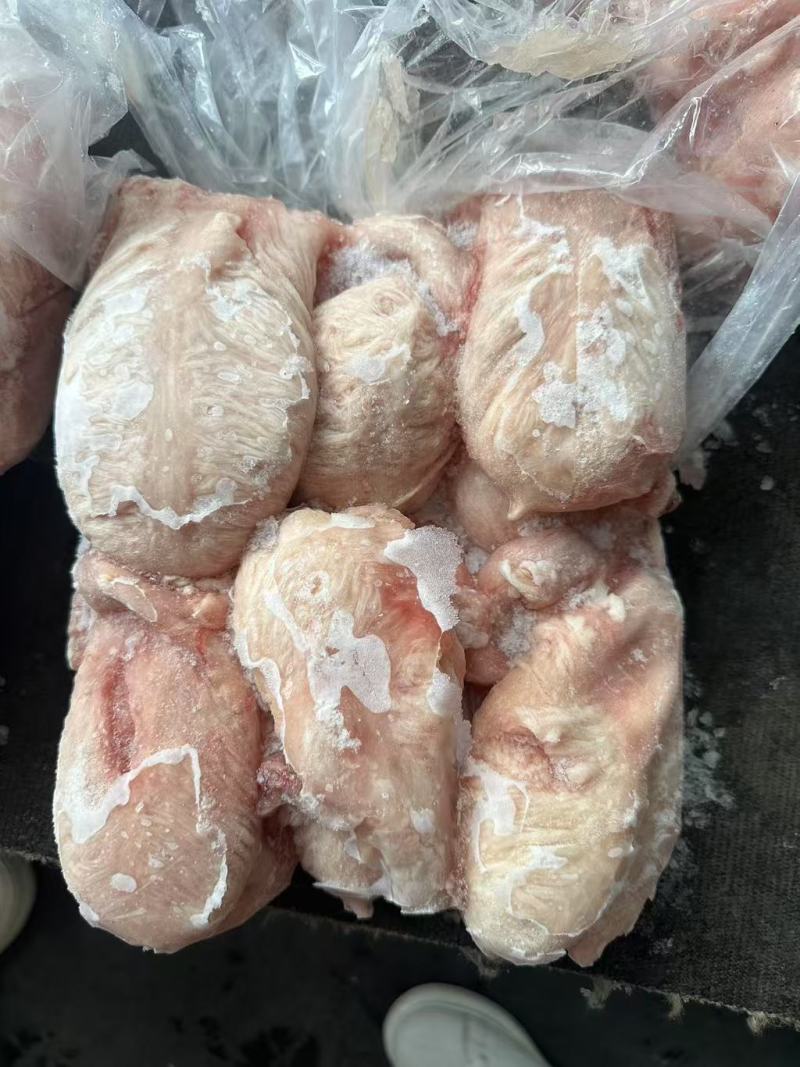 母小肚