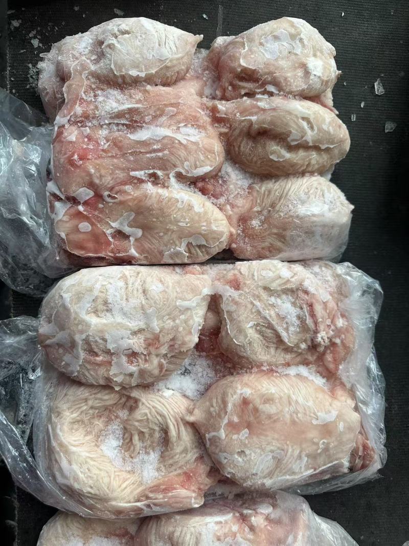 母小肚