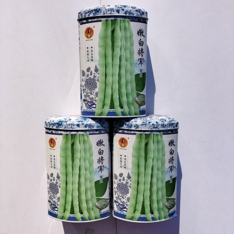 嫩白将军芸豆种子早熟春秋种植白不老品种种子