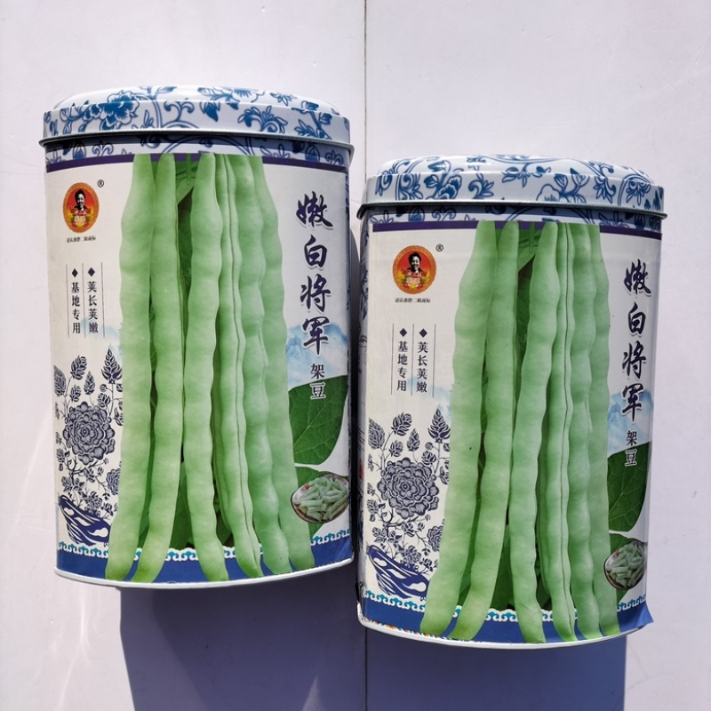 嫩白将军芸豆种子早熟春秋种植白不老品种种子