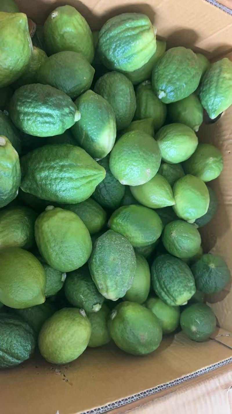 青柠檬广东香柠