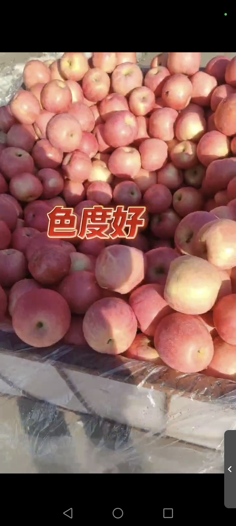 辽南精品红富士，大量有货，品质保证，价格合理