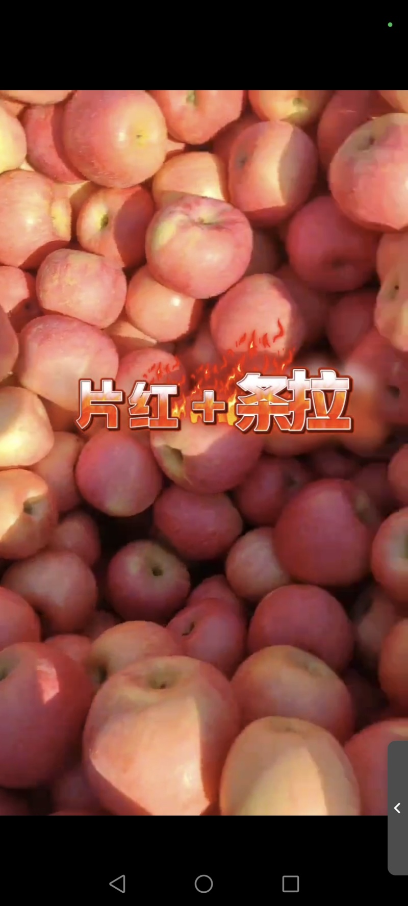 辽南精品红富士，大量有货，品质保证，价格合理