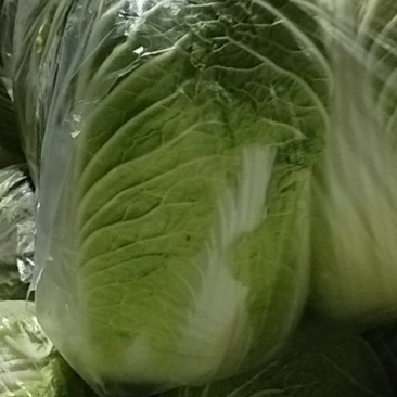 黄心大白菜