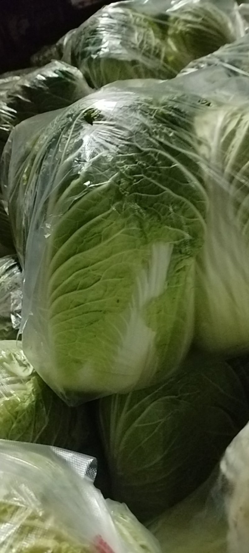 黄心大白菜