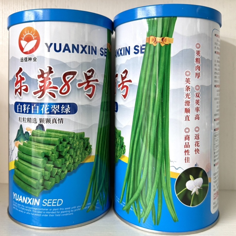 乐荚8号翠绿色豇豆种子中早熟型品种种子