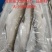 大翘嘴白鱼大量有货，工厂直销，量大价格从优