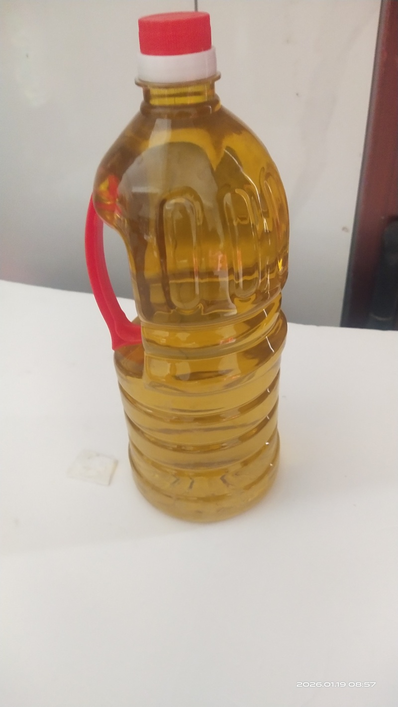 正宗的土榨山茶油