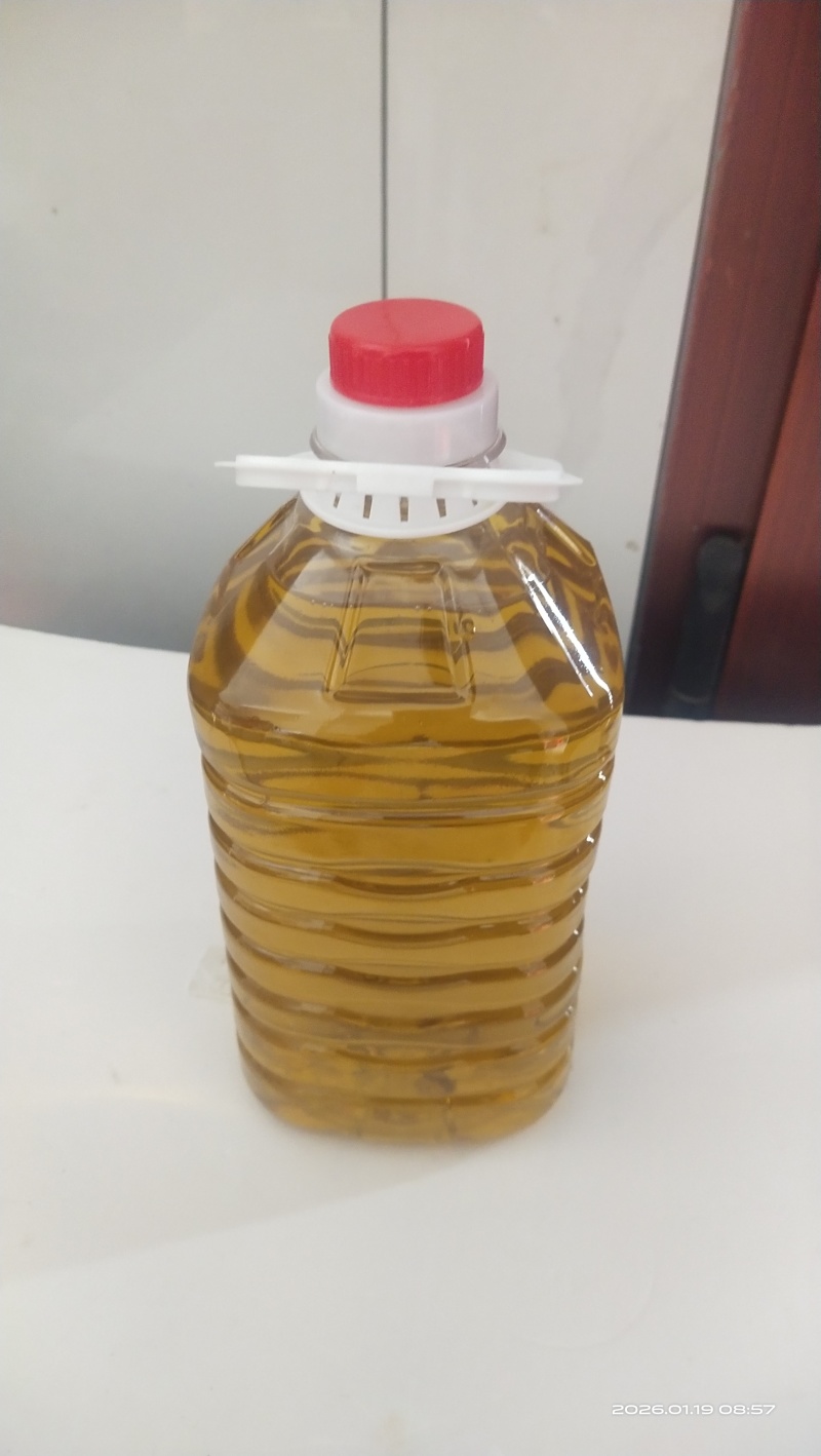 正宗的土榨山茶油