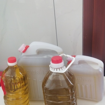 正宗的土榨山茶油