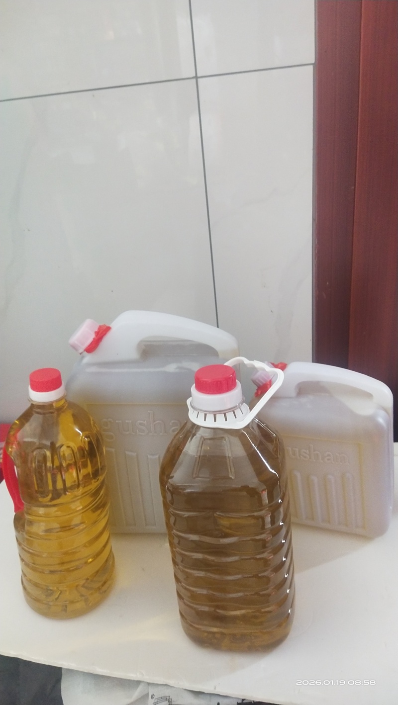 正宗的土榨山茶油