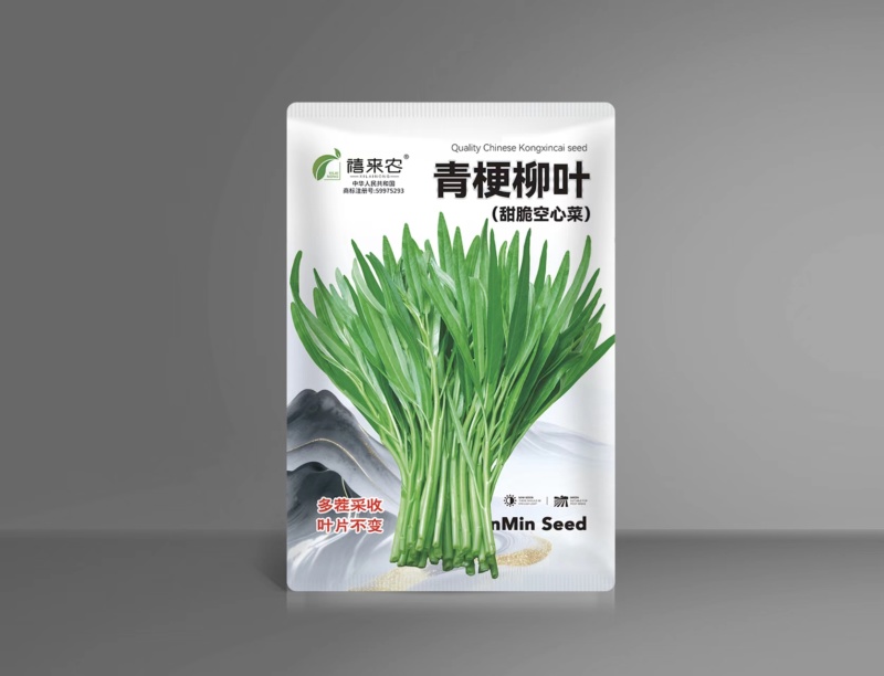 青梗柳叶空心菜种子尖叶阳台盆栽庭院田园空心菜种子