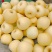 维纳斯黄金苹果产地直供一手货源品质保证量大价优
