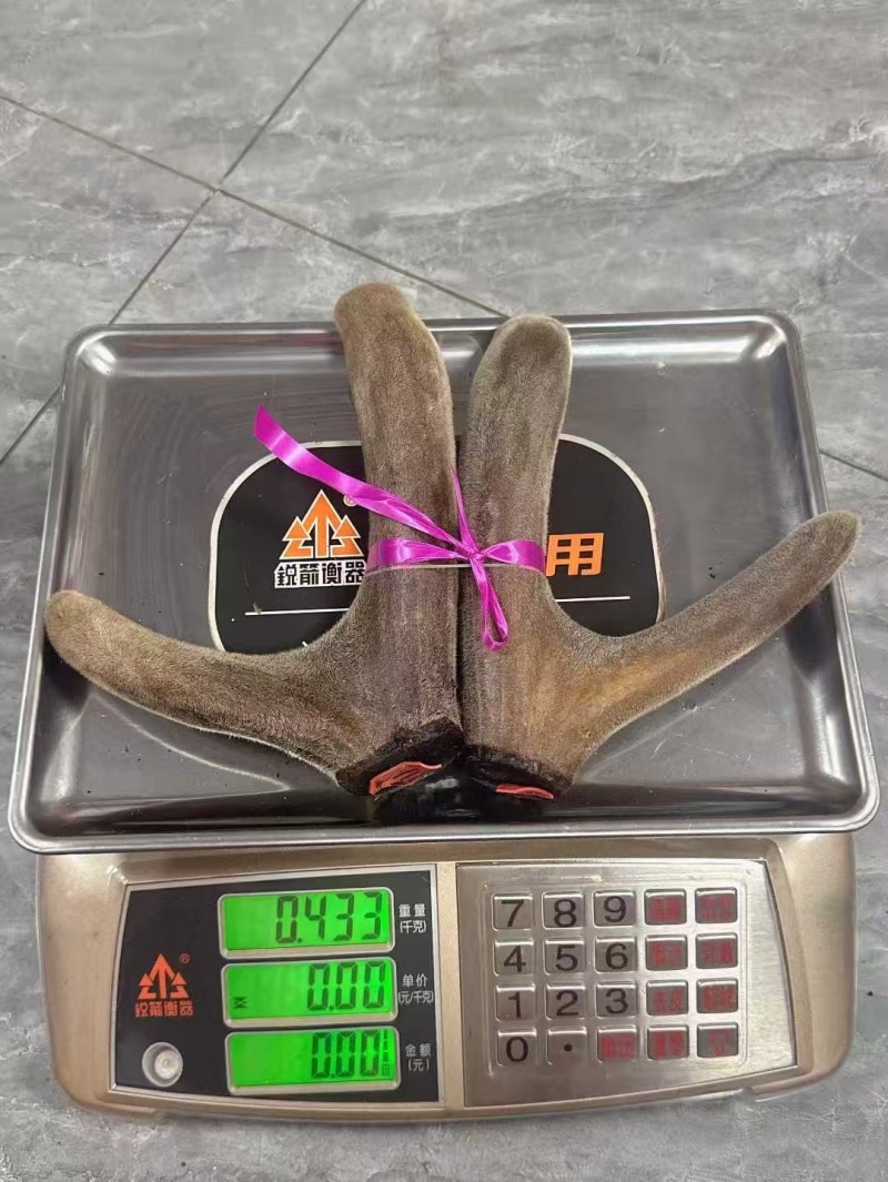 梅花干鹿茸头茬二杠整支梅花鹿茸二茬二杠