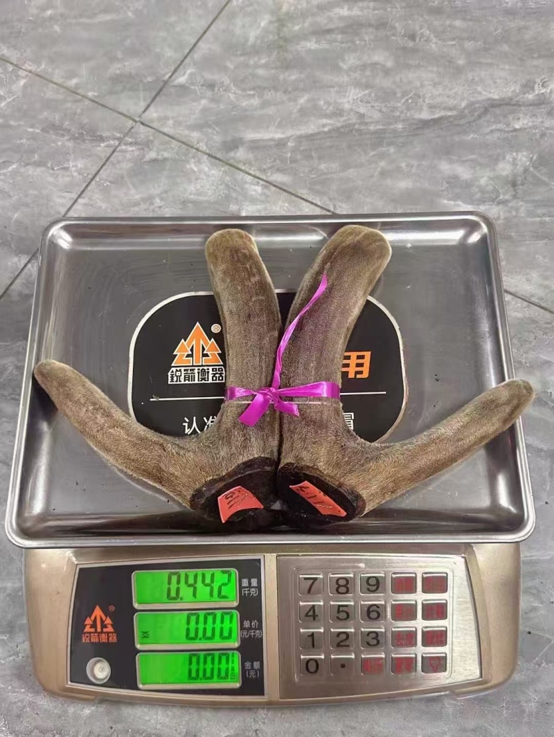 梅花干鹿茸头茬二杠整支梅花鹿茸二茬二杠